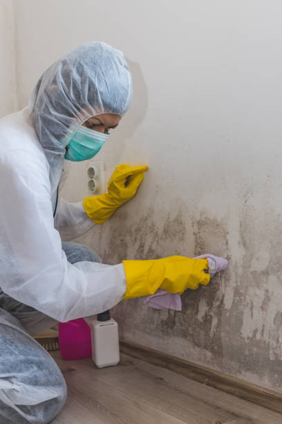 Best Water Damage & Mold Remediation  in Selah, WA