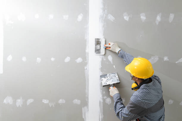 Trusted Selah, WA Mold Removal Experts