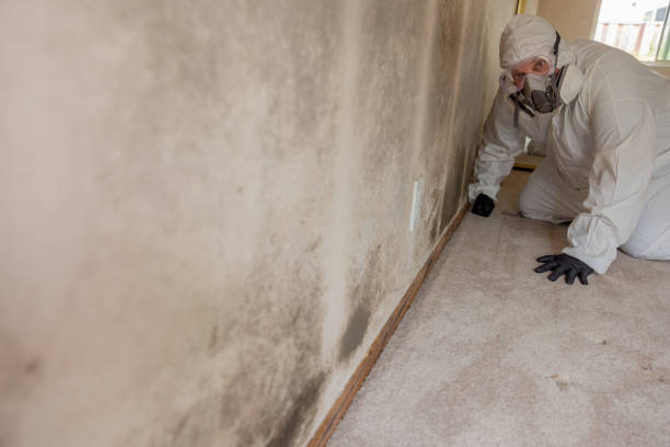 Best Post-Remediation Verification Testing  in Selah, WA