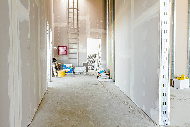 Best Attic Mold Removal  in Selah, WA